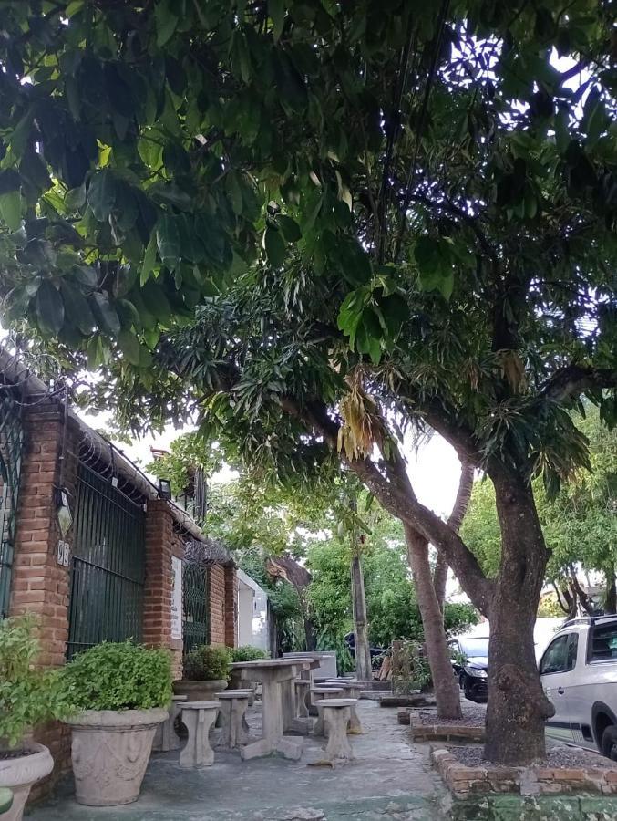 הוסטל רסיפה Pousada Joaozinho Caminhador מראה חיצוני תמונה
